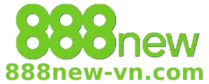 D888new com